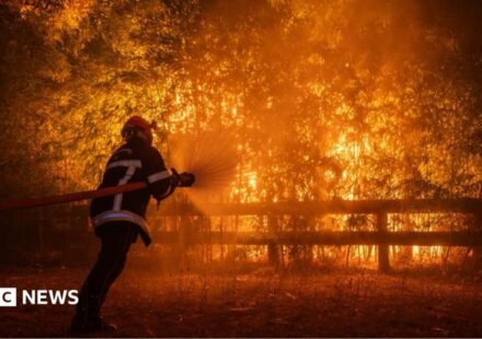 France and Spain fires: Macron calls crisis meeting as wildfires threaten Bordeaux