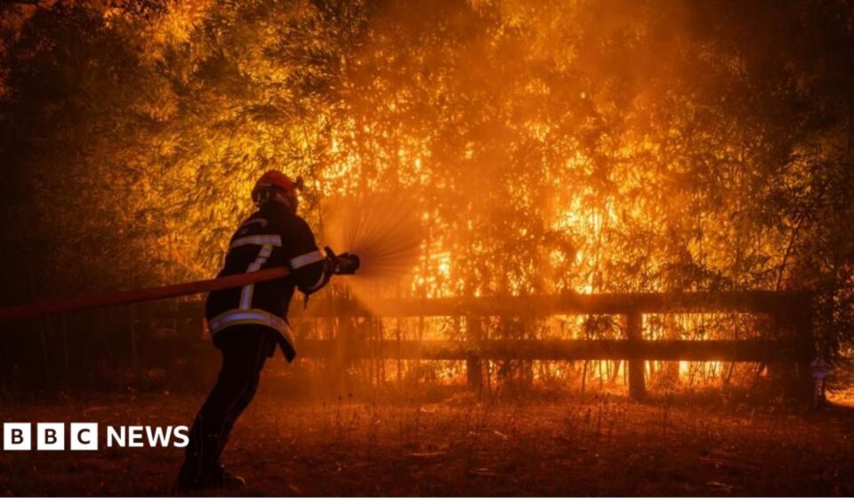France and Spain fires: Macron calls crisis meeting as wildfires threaten Bordeaux