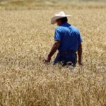 From Super El Niño to Europe’s heatwave: How to trade extreme weather