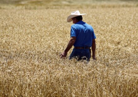 From Super El Niño to Europe’s heatwave: How to trade extreme weather