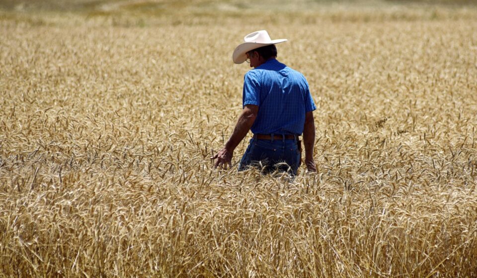 From Super El Niño to Europe’s heatwave: How to trade extreme weather