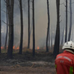 George Clooney's family evacuates their home in France amid wildfires