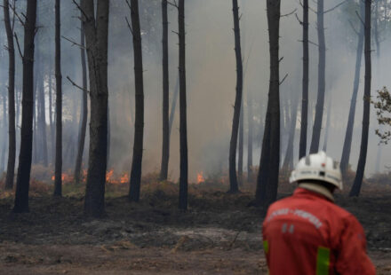 George Clooney's family evacuates their home in France amid wildfires