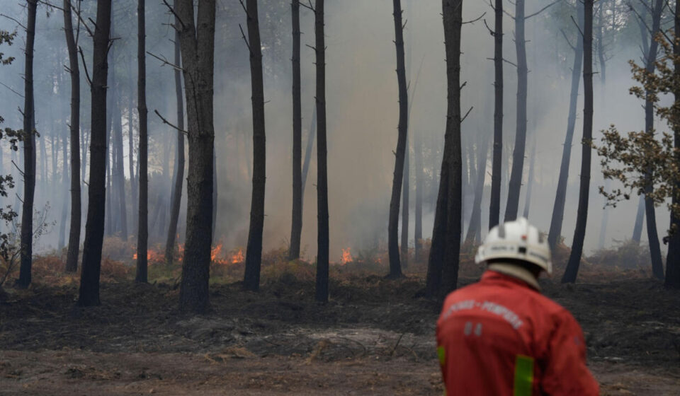 George Clooney's family evacuates their home in France amid wildfires