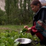 Gilgit-Baltistan: Pakistan's tourist jewel tested by development and climate change - Focus