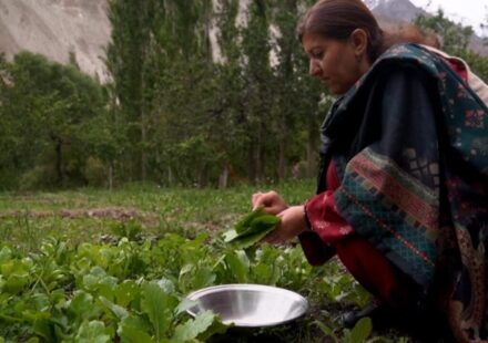 Gilgit-Baltistan: Pakistan's tourist jewel tested by development and climate change - Focus