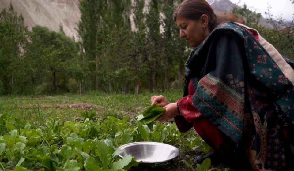 Gilgit-Baltistan: Pakistan's tourist jewel tested by development and climate change - Focus