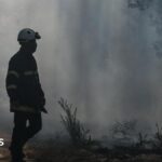 Gironde wildfires flare up as French region braces for new 40C heatwave