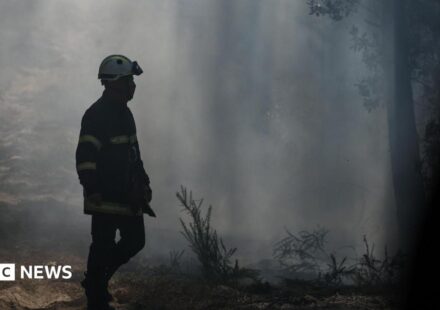 Gironde wildfires flare up as French region braces for new 40C heatwave