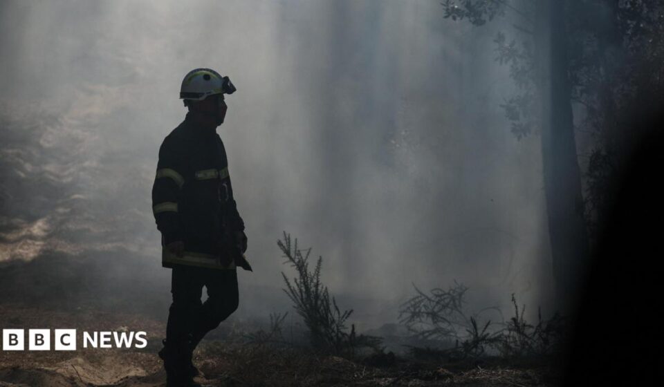 Gironde wildfires flare up as French region braces for new 40C heatwave