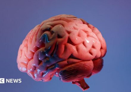 How Indian scientists are mapping the brain's last frontier