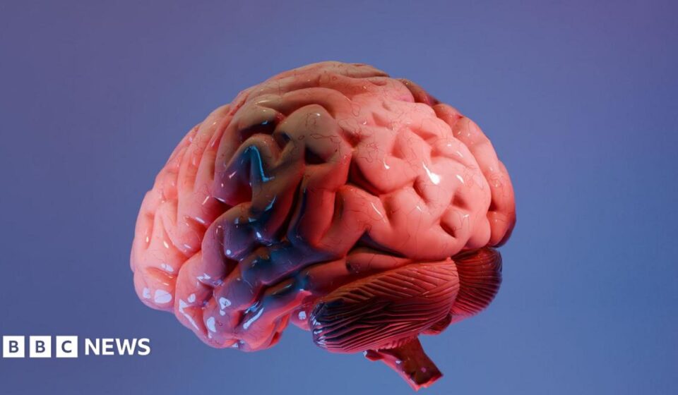 How Indian scientists are mapping the brain's last frontier