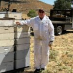 How this 70-year-old honey bee farmer is keeping his family farm alive