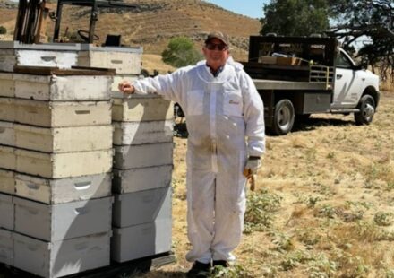 How this 70-year-old honey bee farmer is keeping his family farm alive