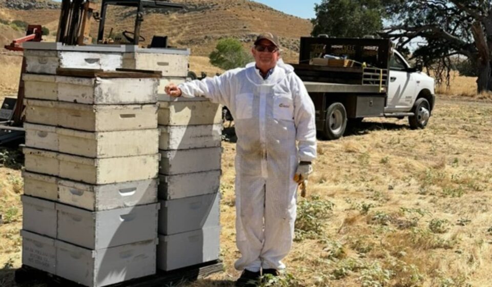 How this 70-year-old honey bee farmer is keeping his family farm alive