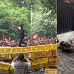 India’s ‘cockroach’ protesters explain how they toppled one of Modi’s ministers