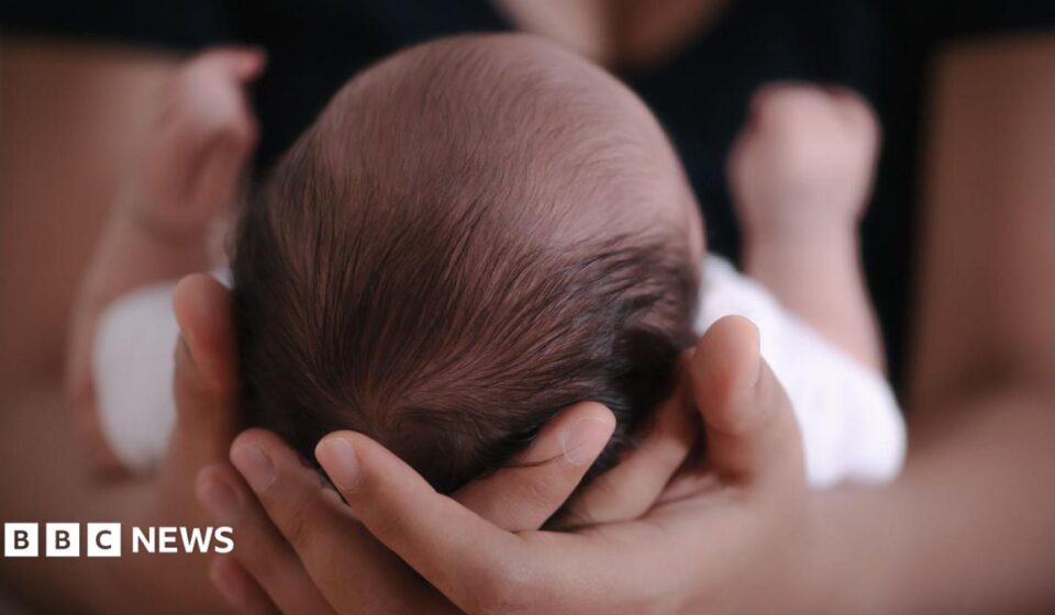 Indonesia Singapore baby trafficking: What happens to the babies now?