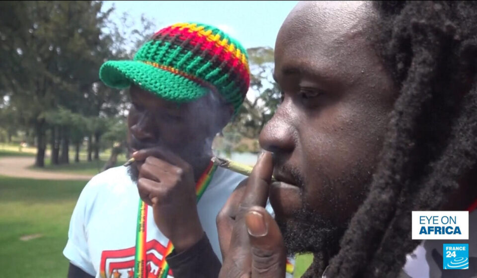 Kenya's Rastafari Society loses case to decriminalise cannabis use