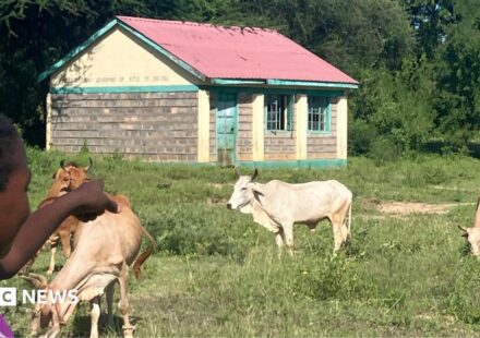 Kenya's vanishing rural schools - and why a new curriculum may be to blame