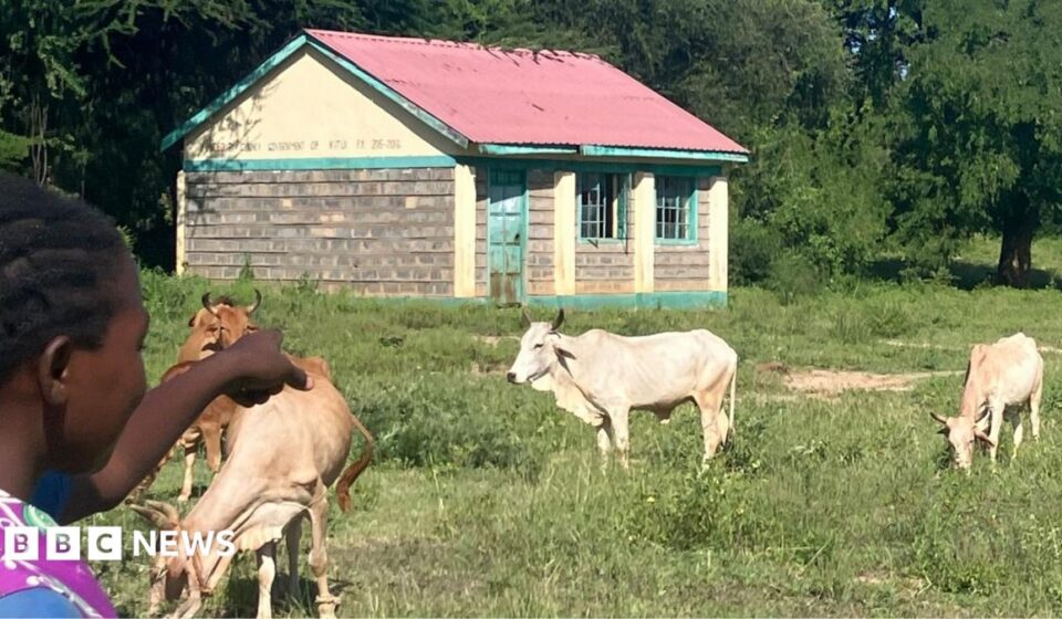 Kenya's vanishing rural schools - and why a new curriculum may be to blame