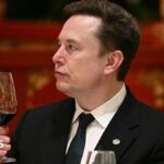 'Let's enjoy the ride' says Elon Musk, as AI risk concerns mount