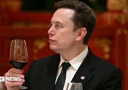 'Let's enjoy the ride' says Elon Musk, as AI risk concerns mount