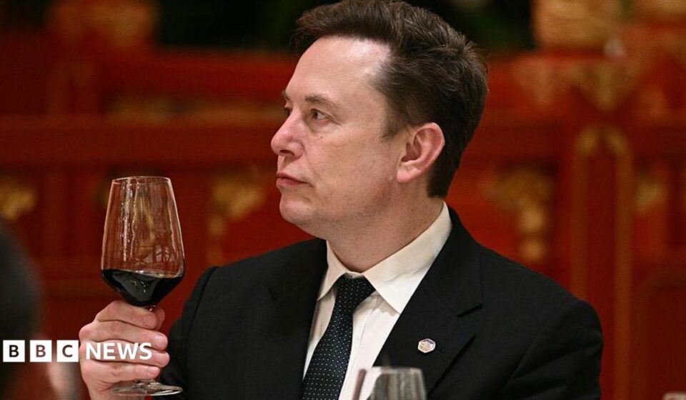 'Let's enjoy the ride' says Elon Musk, as AI risk concerns mount