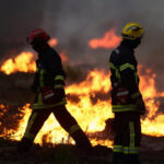 Live: Macron to hold crisis cabinet meeting on France's devastating wildfires