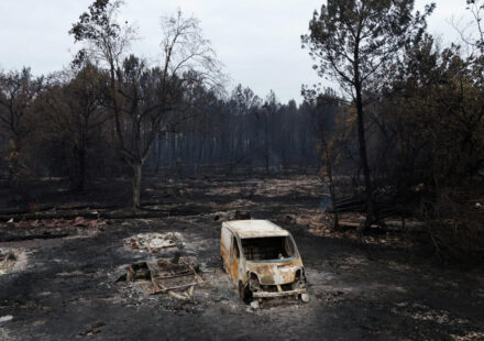 Live: Massive wildfire near Bordeaux 'remains stable' after calm night, local authorities say