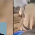 Mali government says rebels attacking northern towns