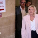 Marine Le Pen to run for French presidency and appeal conviction in top court
