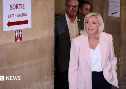 Marine Le Pen to run for French presidency and appeal conviction in top court