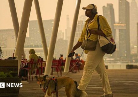 More than 800 Canadian wildfires burning as air quality alerts extend to US