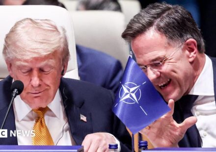 Nato chief tells BBC that Trump comments are like 'family argument'