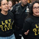 New York House candidate Claire Valdez draws Fourth of July backlash