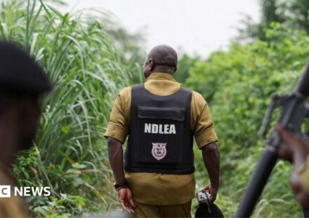 Nigeria drug trade: How Mexican cartels have outsourced meth labs