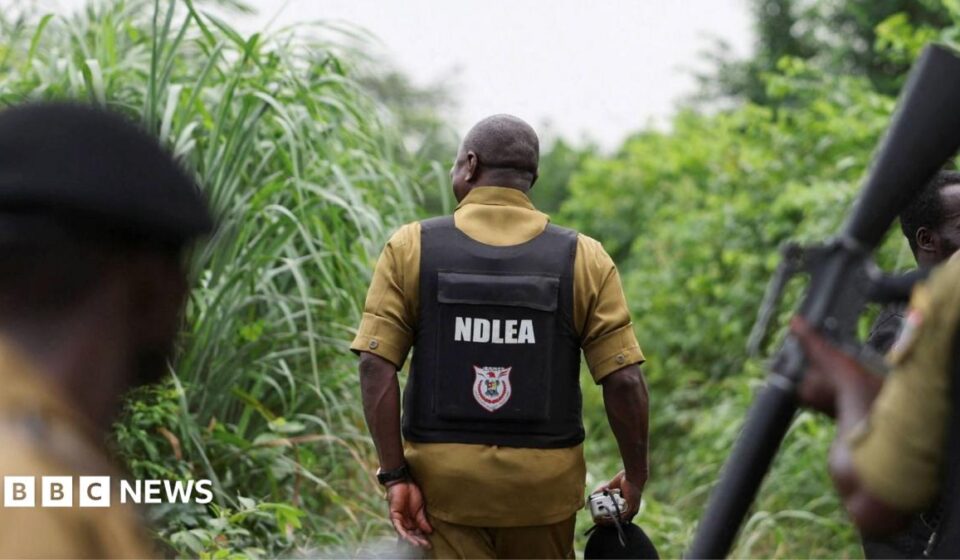 Nigeria drug trade: How Mexican cartels have outsourced meth labs