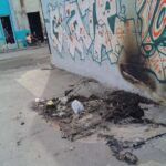 Plagas: Las chinches se expanden por una Habana convertida en basurero