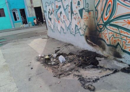 Plagas: Las chinches se expanden por una Habana convertida en basurero