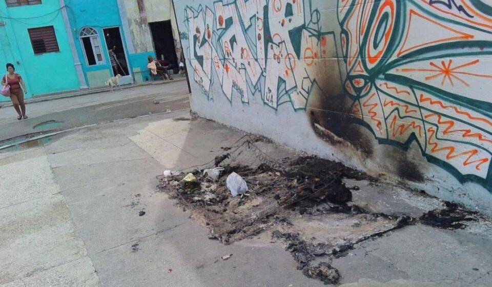 Plagas: Las chinches se expanden por una Habana convertida en basurero