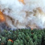 Planes sent to tackle wildfires of 'exceptional scale' near Paris