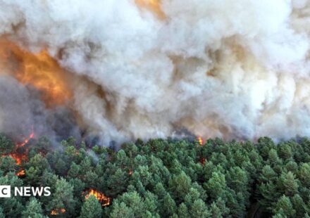 Planes sent to tackle wildfires of 'exceptional scale' near Paris
