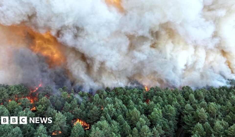 Planes sent to tackle wildfires of 'exceptional scale' near Paris