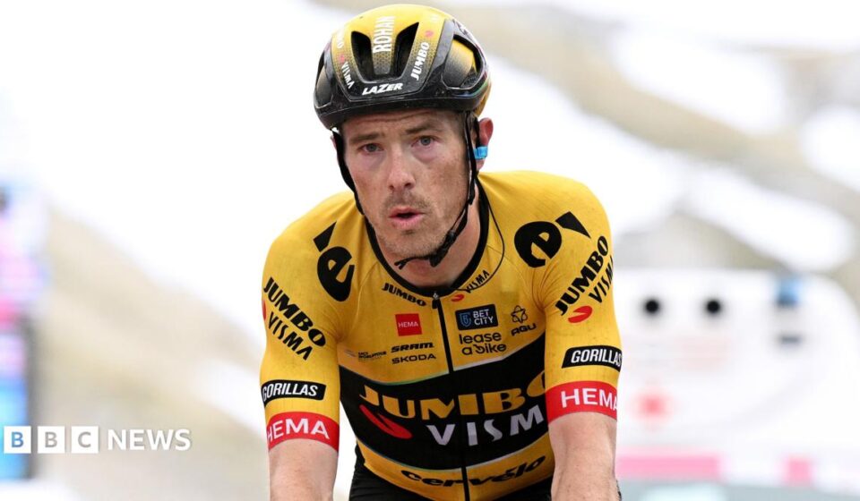 Rohan Dennis: Australian Olympic cyclist admits to driving despite ban after crash that killed wife
