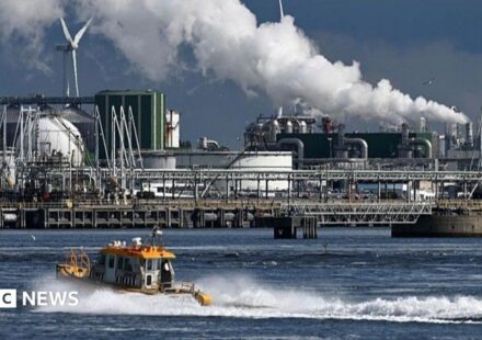 Rotterdam: Pressure builds on Europe's biggest port to be greener