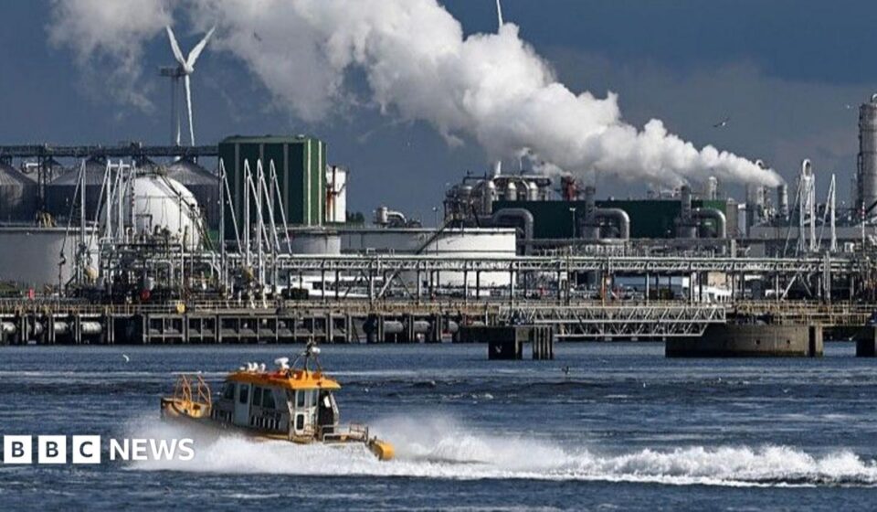Rotterdam: Pressure builds on Europe's biggest port to be greener