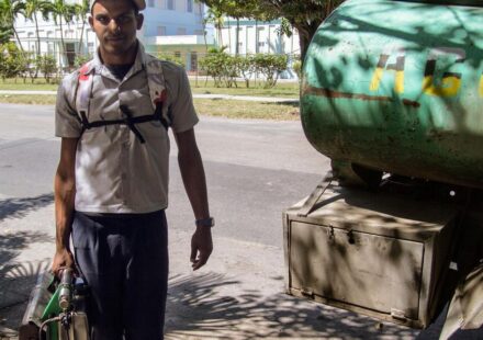 Salud Pública: Cómo defendernos de los mosquitos: qué funciona y qué no contra esta plaga