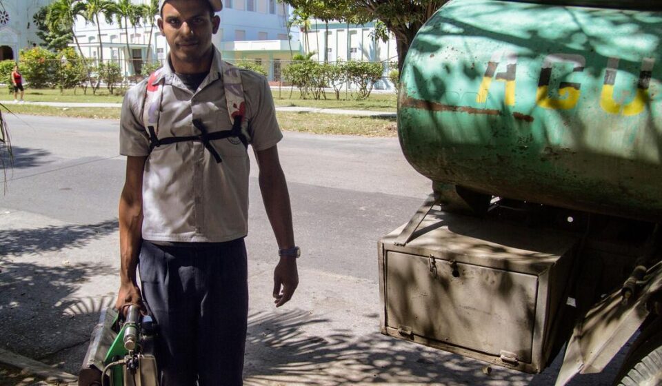 Salud Pública: Cómo defendernos de los mosquitos: qué funciona y qué no contra esta plaga