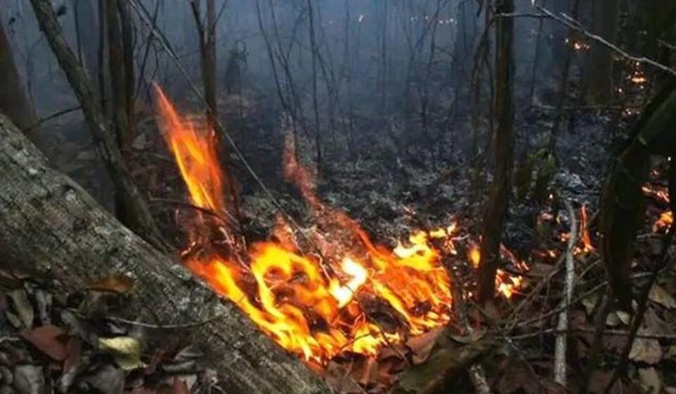 Siniestros: Incendio arrasa 700 hectáreas en el Parque Nacional Alejandro de Humboldt