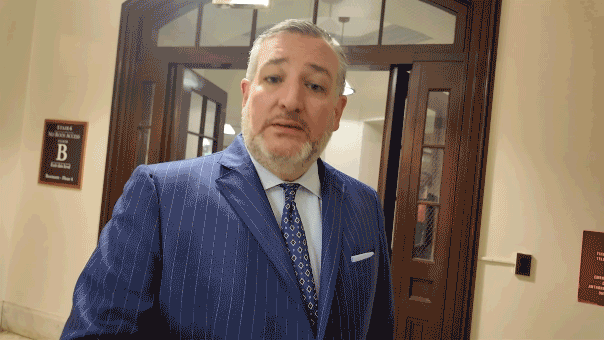 Ted Cruz demands Fauci face contempt, perjury charges after hearing
